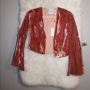 Pink Velvet Flared Sleeve Crop Top